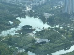 -嘉定凯悦·咖啡厅