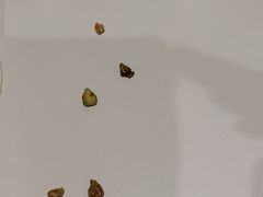 -AEON永旺(东方宝泰店)