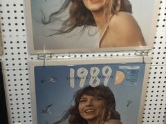 -树懒黑胶唱片店(中山路店)