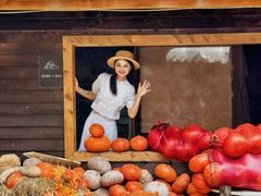 -HERRE·FARM 赫尔露营农场·团建聚会包场