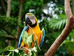 -广州长隆野生动物世界