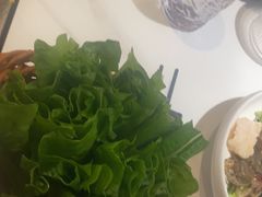 -渔惑·中山脆肉鲩火锅(仁恒梦店)