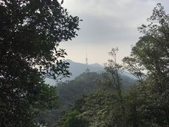 -梧桐山风景名胜区