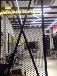 -SALON V