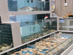 -串门海鲜烧烤(五四广场店)