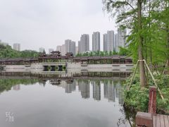 -重庆彩云湖湿地公园