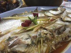 -梦江南