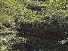 -宁波五龙潭景区