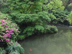 -杭州植物园