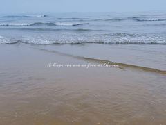 -日照海滨国家森林公园