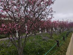 -苏州上方山国家森林公园