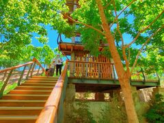 -东郊湿地公园