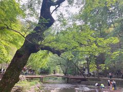 -五泄景区