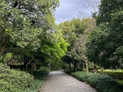 -杭州植物园