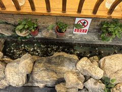 -清真·京华源铜锅涮肉(丰庆店)