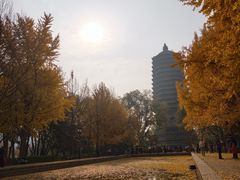 -玲珑塔公园