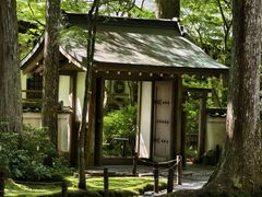 -三千院