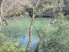 -白马涧龙池景区