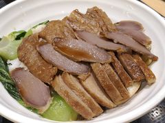 -食代馆(深业上城店)