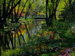 -上海共青森林公园