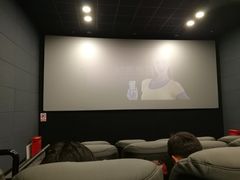 -SFC上影影城(港汇永华IMAX激光店)