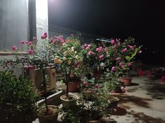 -树厨贵州菜(铜仁花果山店)
