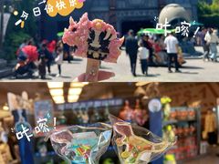 -中华恐龙园