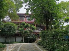 -江湾神木园