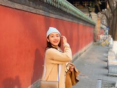 -北京国子监胡同