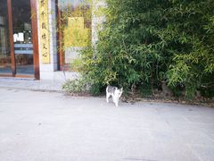 -南京市江宁方山
