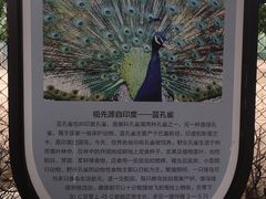-北京麋鹿生态实验中心