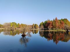 -贡湖湾湿地公园