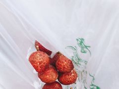 -Club Queen皇后酒吧