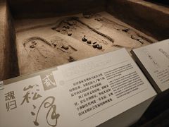 -上海崧泽遗址博物馆