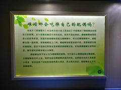 -上海昆虫博物馆