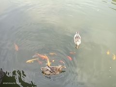 -广州神农草堂中医药博物馆