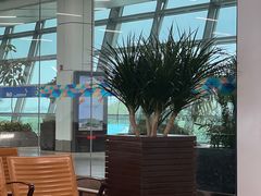 -英迪拉·甘地国际机场