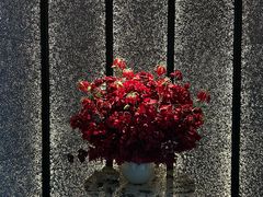-淮香国色·淮扬菜(正大中心店)