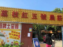 -荔枝红五号农庄
