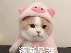 -湛江菜.江南首席(昆山店)