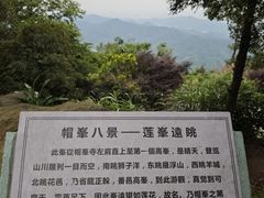 -广州市帽峰山景区