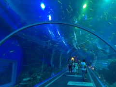 -成都浩海立方海洋公园