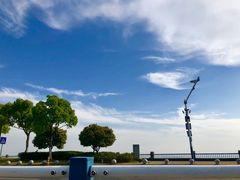 -合肥滨湖国家森林公园