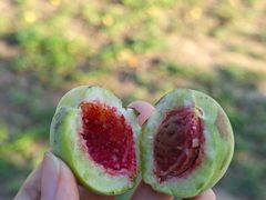 -迎泽公园