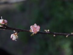-花溪风景区