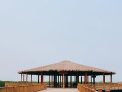 -白洋淀景区