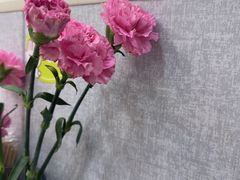 -来之顺海鲜菜馆·青岛菜·始于1993(栈桥店)