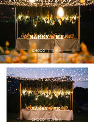 -CHOCO-启蔻婚礼(三亚公司)