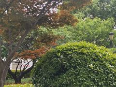 -苏宁易购(上海沪太路二店)