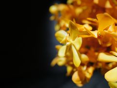 -三亚太阳湾柏悦酒店